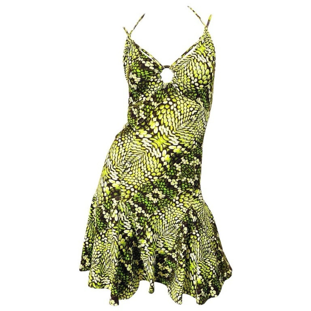 Roberto Cavalli dress